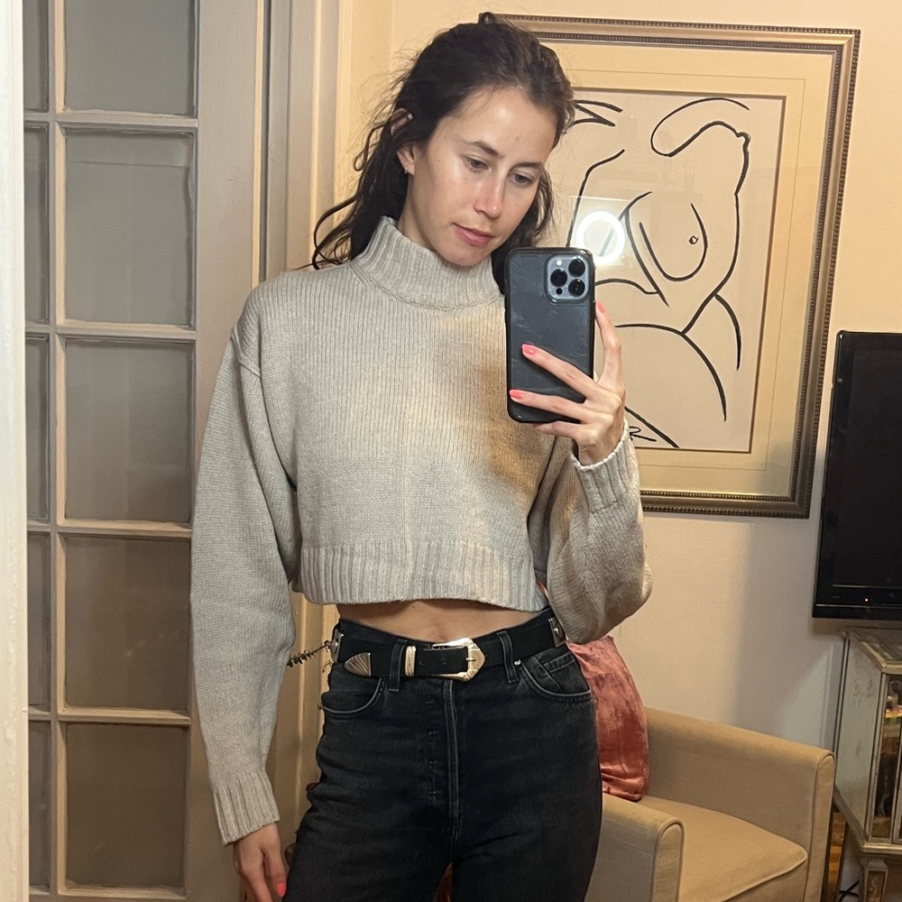 Aritzia cropped sweater, size small